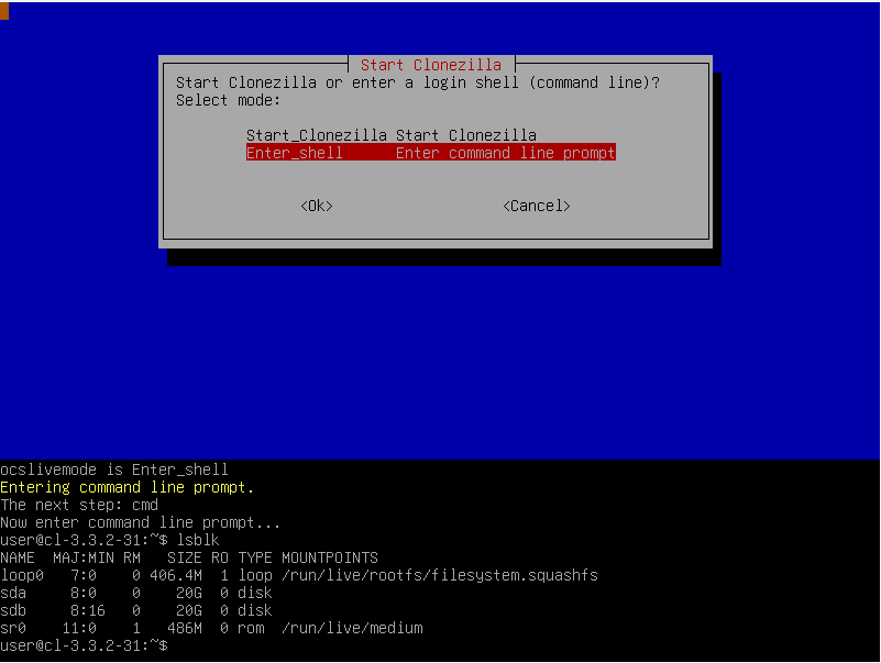 Linux command line in Clonezilla showing the drive list