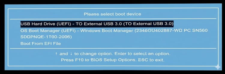 Cloned Drive Won't Boot - How to Fix It?